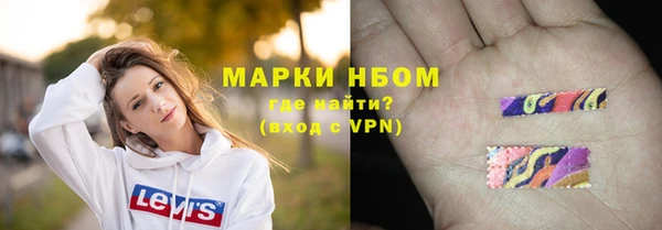 сатива Арсеньев