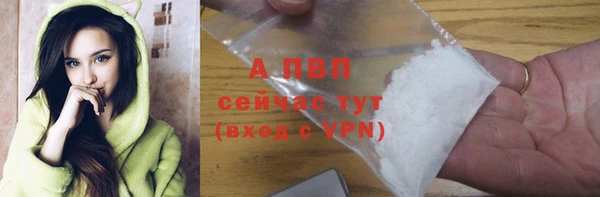 сатива Арсеньев