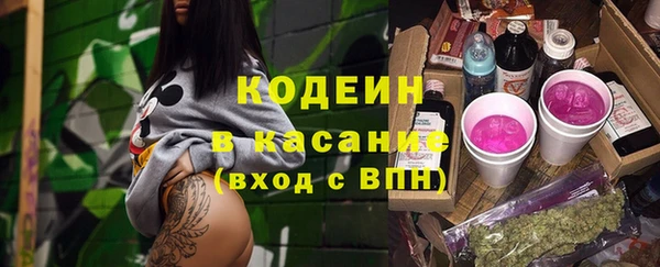 сатива Арсеньев