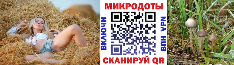 Галлюциногенные грибы Psilocybe  маркетплейс официальный сайт  Новая Ляля 